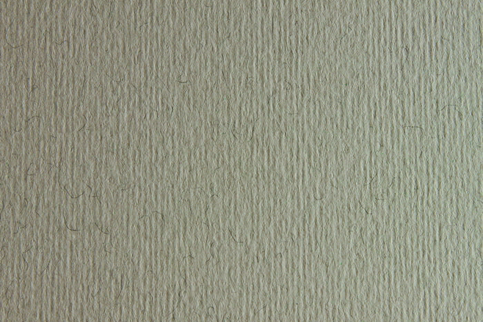 CARTULINA LISO/RUGOSO CHINA 50x70 220GRS