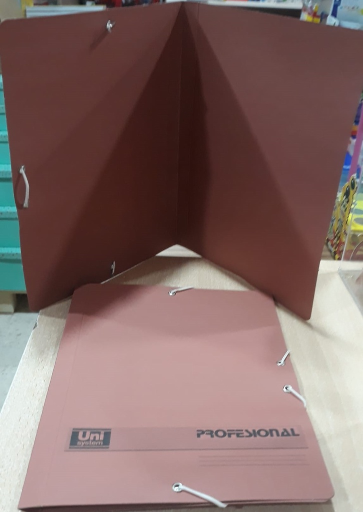 CARPETA GOMAS 4º NAT CUERO UNI PROFESIONAL S/SOLAP