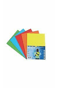 Papel color intenso surtido 500h. 80g.