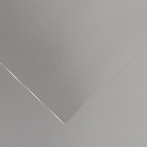 Catulina plateada 50x65 Canson