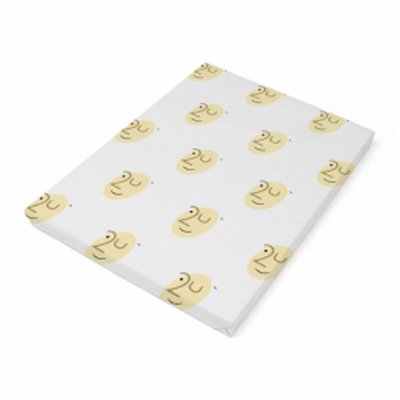 Maine gloss brillo 2/c 32x45cm srA3 135grs