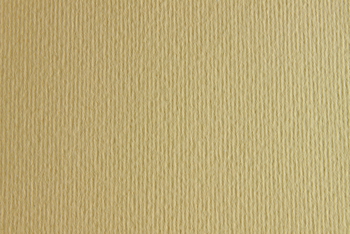 CARTULINA LISO/RUGOSO PANNA 50x70 220GRS