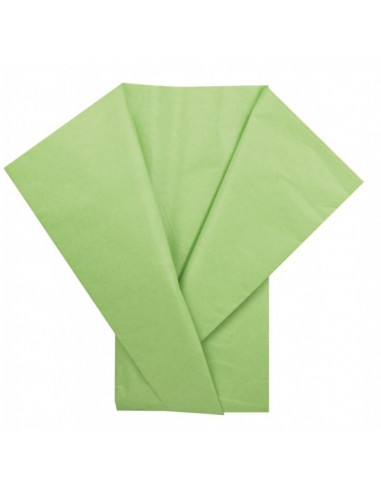 Papel de seda verde palido 51x76cm sadipal