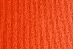 [F42450726] CARTULINA LISO/RUGOSO ARAGOSTA 50x70 220GRS