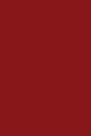 [200040229] P/25 cartulinas granate 16 50x65 185g Canson