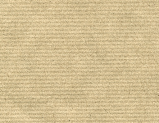 [C200992101] PAPEL KRAFT NATURAL 1x10m