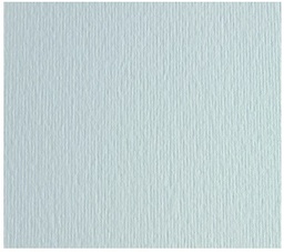 [42450700] CARTULINA LISO/RUGOSO BIANCO 50x70 220GRS