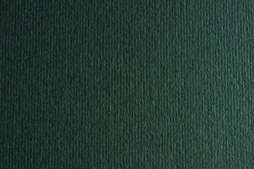 [F42450722] CARTULINA LISO/RUGOSO FERRO 50x70 220GRS