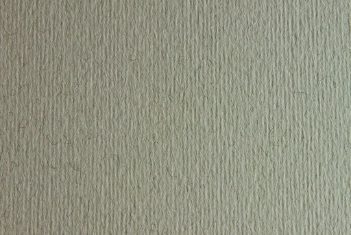[F42450730] CARTULINA LISO/RUGOSO CHINA 50x70 220GRS