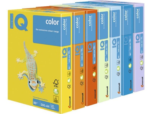 [130114] Mon p.500h. Iq color 80g A4 am ye23A480